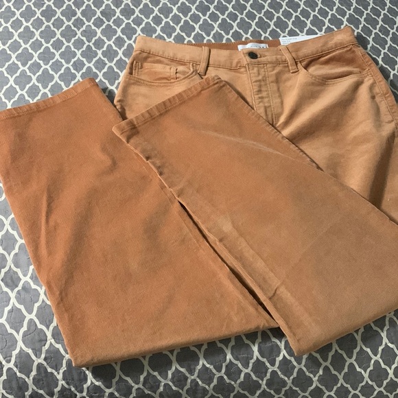 LOFT Pants - LOFT Straight Corduroy Pants